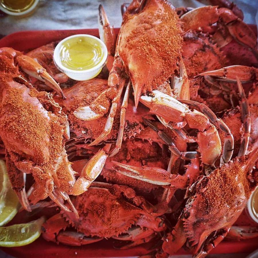 Eat Up at The Raleigh Seafood Festival, Raleigh  Offline